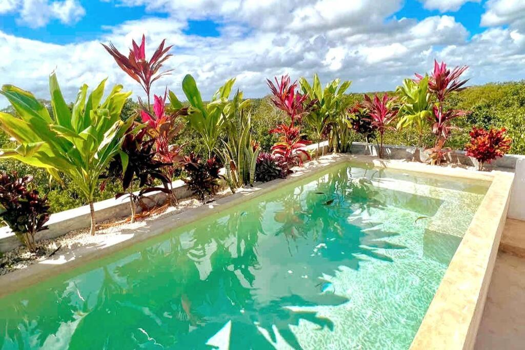 Appartamento Lush Rooftop With Ensuite Pool & Wifi