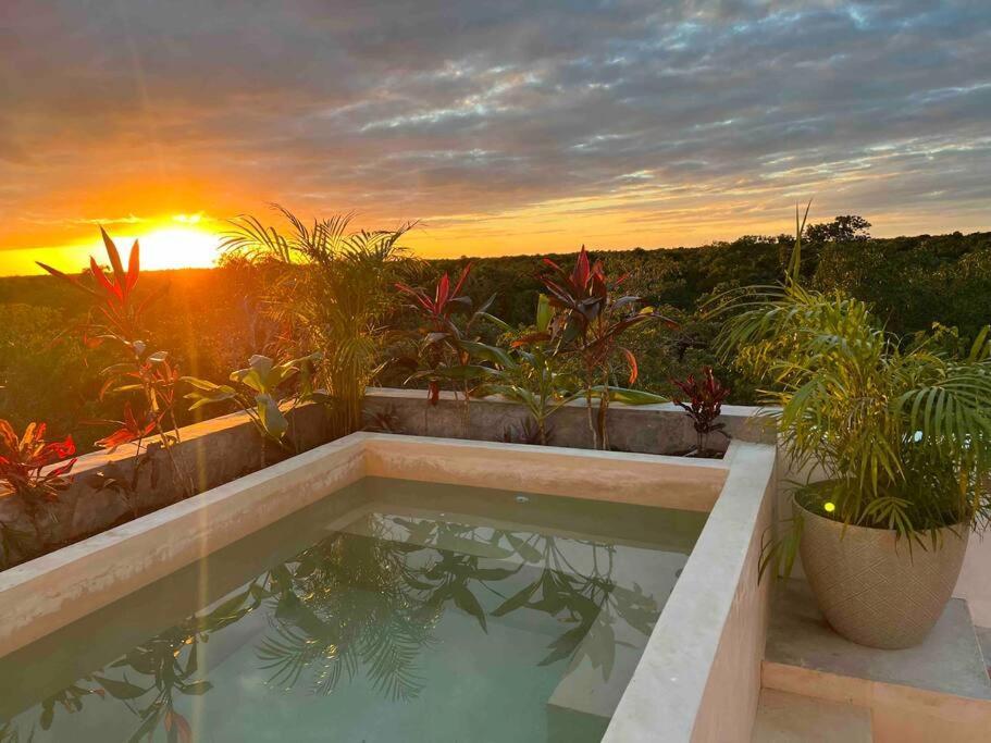 Lush Rooftop With Ensuite Pool & Wifi *